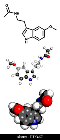 Melatonin-Hormon-Molekül. Rolle bei der Regulierung der biologischen Tageszyklus (zirkadianer Rhythmus). Stockfoto