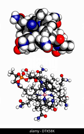 Vitamin B12 (Cyanocobalamin)-Molekül. Raumfüllende 3D-Modell und 3D Kugel-und-Peitsche-Modell. Stockfoto