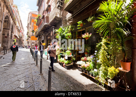 Die engen Gassen von Neapel, Italien Stockfoto