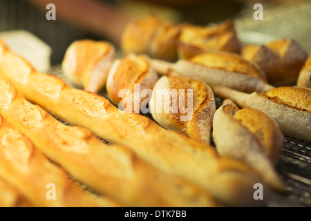 Nahaufnahme von frischem Brot in der Bäckerei Stockfoto