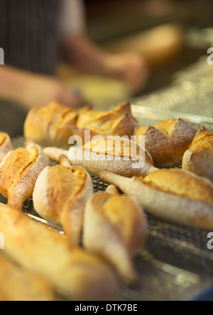 Nahaufnahme von frischem Brot in der Bäckerei Stockfoto