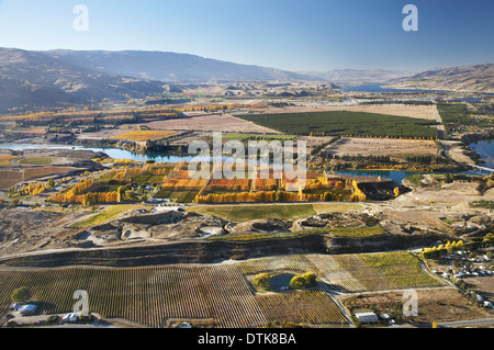 Domäne Straße Weinberg und Obstgärten, Bannockburn und Lake Dunstan, Central Otago, Südinsel, Neuseeland - Antenne Stockfoto