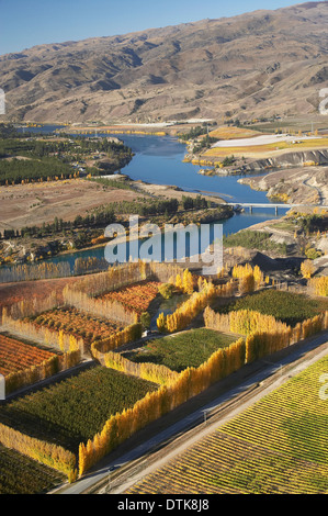 Obstplantagen, Weinbergen und Lake Dunstan, Bannockburn, in der Nähe von Cromwell, Central Otago, Südinsel, Neuseeland - Antenne Stockfoto