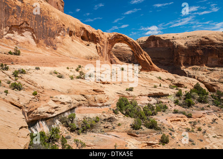 Corona Arch in der Nähe von Moab, Utah. Stockfoto