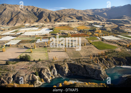 Kawarau River und Weinberge, Gibbston Valley, Otago, Südinsel, Neuseeland - Antenne Stockfoto