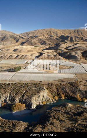 Kawarau River und Weinberge, Gibbston Valley, Otago, Südinsel, Neuseeland - Antenne Stockfoto