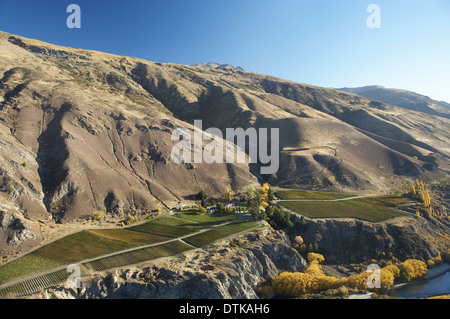 Mangold Hof Weingut und Kawarau River, Gibbston Valley, Otago, Südinsel, Neuseeland - Antenne Stockfoto