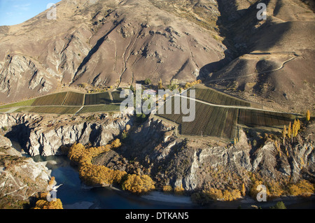 Mangold Hof Weingut und Kawarau River, Gibbston Valley, Otago, Südinsel, Neuseeland - Antenne Stockfoto