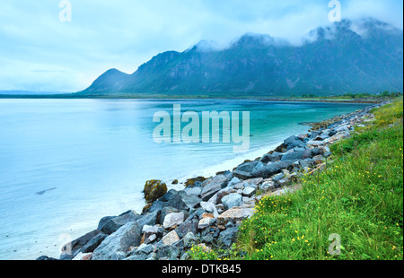 Europäisches Nordmeer bewölkt Nachtansicht mit Sandstrand (nicht weit Vagan, Norwegen). Stockfoto