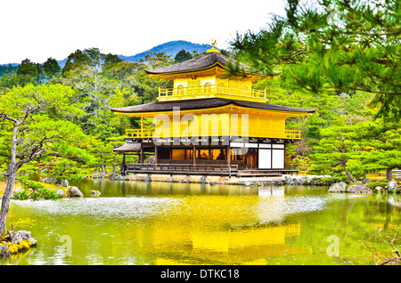 Kinkakuji Tempel (dem Goldenen Pavillon) in Kyoto, Japan Stockfoto