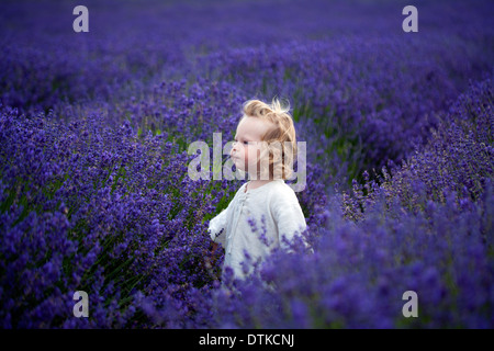 Junge Wandern im Bereich der Lavendel Stockfoto