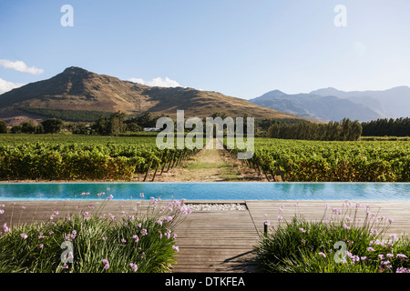 Luxus-Sportbecken mit Blick auf Weinberge und Berge Stockfoto