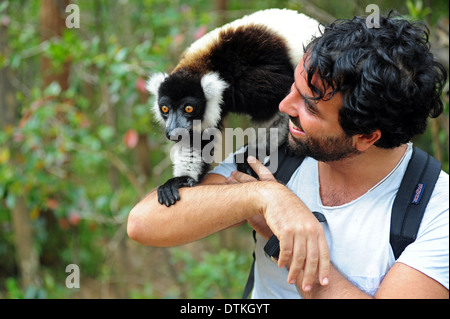 Madagaskar, Andasibe, Ile Aux Lemuriens, Coquerel Sifaka (Propithecus Coquereli) auf Schulter des touristischen Stockfoto