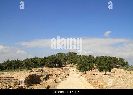 Israel, unteren Galiläa Decumanus in der römischen Stadt Zippori Stockfoto