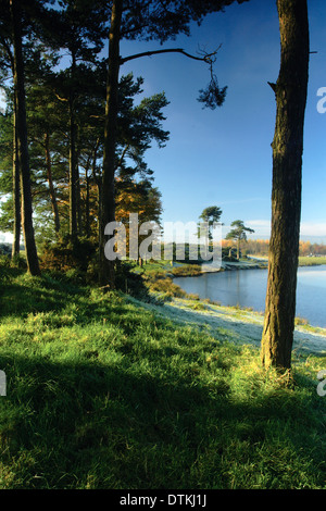 Knapps Loch im Winter in der Nähe von Kilmacolm, Inverclyde Stockfoto