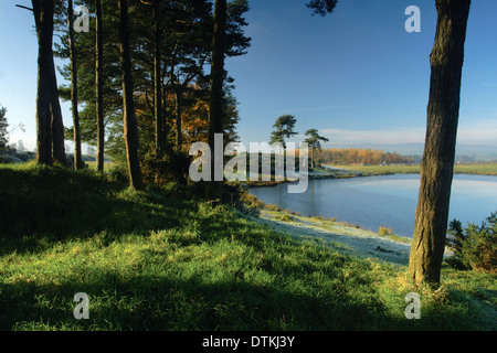 Knapps Loch im Winter in der Nähe von Kilmacolm, Inverclyde Stockfoto