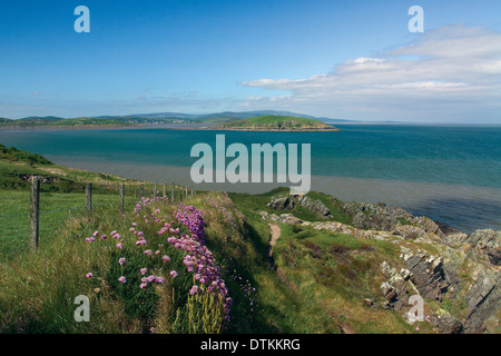 Mit Blick auf Hestan und die Colvend Küste von Balcary Bay, Auchencairn, Galloway Stockfoto