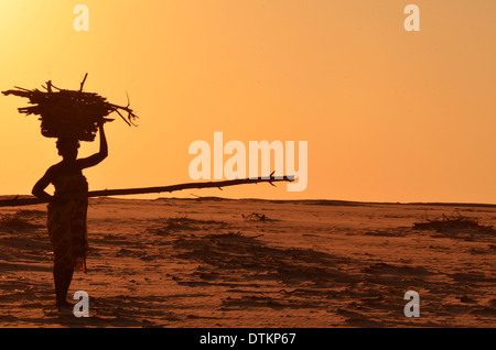 Madagaskar, Morondava, Kimoni, Frau Holz auf dem Kopf tragen Stockfoto