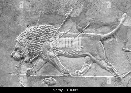 Assyrische Löwen jagen Relief Wandkunst im British Museum, London, England Stockfoto