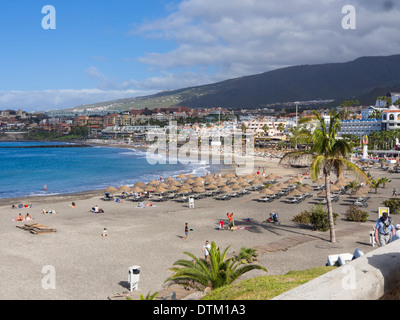 Der Strand Playa Fanabe in Playa de Las Americas Teneriffa Kanaren Spanien, breit, sonnig und einladend Stockfoto