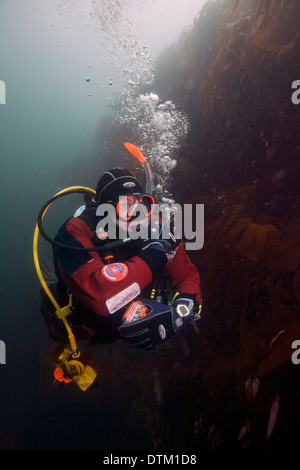 Ein Taucher passt seine Schwimmfähigkeit in den malerischen Gewässern des The Small Isles (Eigg, Muck und Canna) an der Westküste von Schottland. Stockfoto