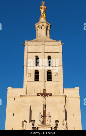 Metropole-Notre-Dame des Doms in Avignon, Frankreich. Stockfoto