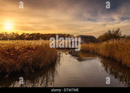 Bunte goldene Stunde Sonnenuntergang über reetgedeckten Bootshaus auf Hickling Broad, Norfolk Broads, East Anglia, England. Stockfoto