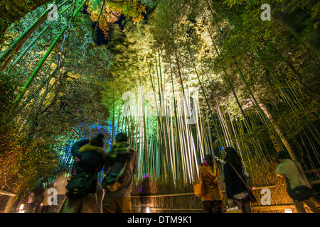 Bambus Wald von Kyoto, Japan in der Nacht. Stockfoto