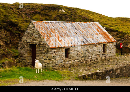 Stein-Hütte und Schafe, Elgol, Isle Of Skye Stockfoto