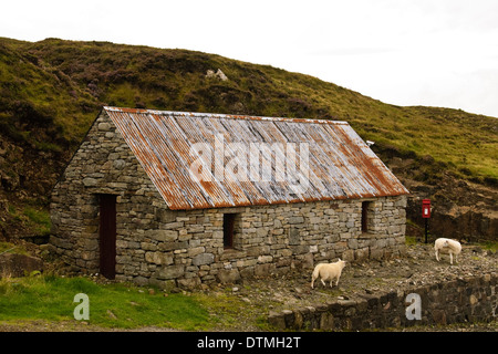 Stein-Hütte und Schafe, Elgol, Isle Of Skye Stockfoto