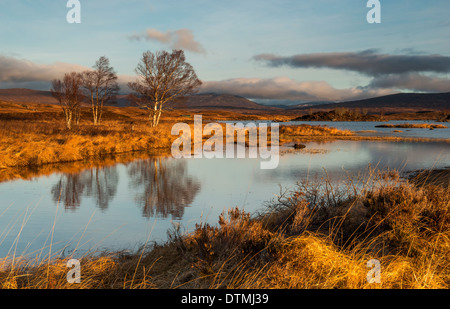 Am frühen Morgen Licht am Loch Ba, Rannoch Moor Scotland UK Stockfoto