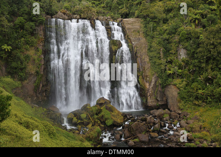 Marokopa Falls, in der Nähe von Waitomo Caves, Waikato Region, Nordinsel, Neuseeland Stockfoto