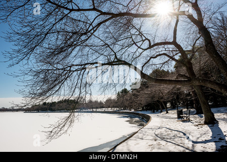 Washington DC berühmten Kirschbäume, Blüten und Blätter für den Winter, Bogen über einen schneebedeckten Gehweg Tidal Basin läuten. Tidal Basin in Washington, D.C. ist durch Schichten von Eis und Schnee bedeckt. Temperaturen im Winter wurden unter dem Durchschnitt für die Region. Stockfoto