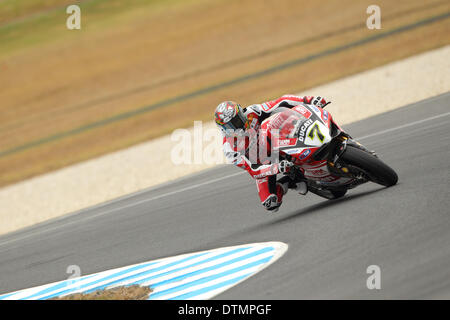 Phillip Island, Australien. Freitag, 21. Februar 2014. Der Brite Chaz Davies an Bord seiner Ducati 1199 Panigale R während des freien Trainings auf Phillip Island Runde der Superbike-Weltmeisterschaft 2014. Eine nasse Strecke sah Fahrer nur wenige Runden vor dem Ende im Training. Bildnachweis: Russell Hunter/Alamy Live-Nachrichten Stockfoto