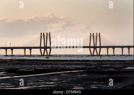 Abend-Blick auf die Bandra Worli Sea Link Bridge. Ein Beweis für die technologische Entwicklung Indiens. Stockfoto