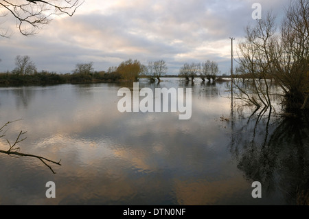 Überflutet Norden Wiese Naturschutzgebiet am Cricklade, Wiltshire; Heimat des seltenen Schlangen-Kopf Fritillary Stockfoto