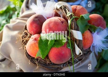 Lokalen Bio-Pfirsiche Stockfoto