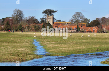 Eine englische ländlichen Weilers sonnigen Winter mit weidenden Schafen und Strom fließt durch eine Wasser-Wiese Stockfoto