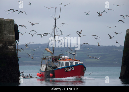 "Coming Home", ein fischender Trawler Rückkehr in Newlyn Harbour, Cornwall, UK. Stockfoto