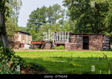 Stapel von Baumstämmen und Brennholz in einem Holzschuppen auf einem Bauernhof im Spreewald Biosphärenreservat, Brandenburg, Deutschland Stockfoto