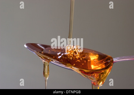 Goldener Sirup wird von oben auf einen Silberlöffel mit neutralem, glattem Hintergrund gegossen Stockfoto