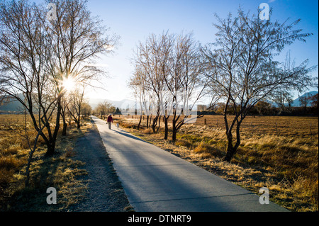 Frau zu Fuß sechs Monate alten Platin golden Retriever Hund auf Radweg am Sonnenuntergang, kleine Bergstadt Salida, Colorado, USA Stockfoto