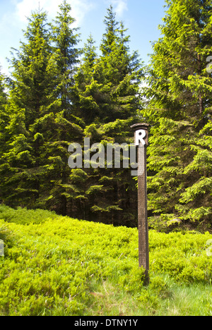 Wanderweg Rennsteig, Deutschland Stockfoto