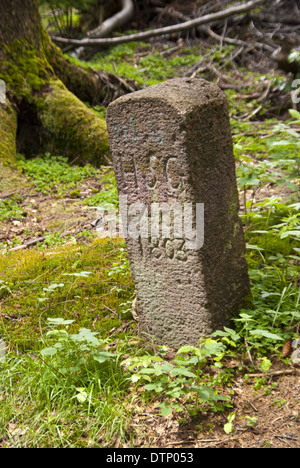 Wanderweg Rennsteig, Deutschland Stockfoto