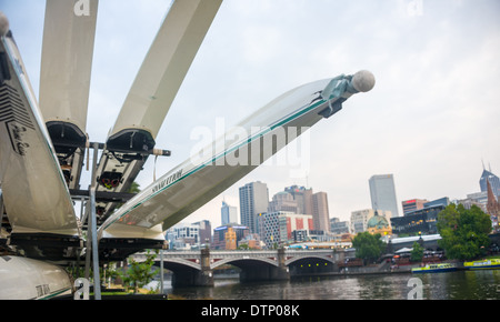 Ruderboote am Ufer des Flusses Yarra in Melbourne in der Nähe der Gärten, die die Rümpfe der Schiffe auf einem Anhänger gestapelt werden. Stockfoto