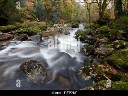 Fluß Plym bei Dewerstone auf Dartmoor in England Stockfoto