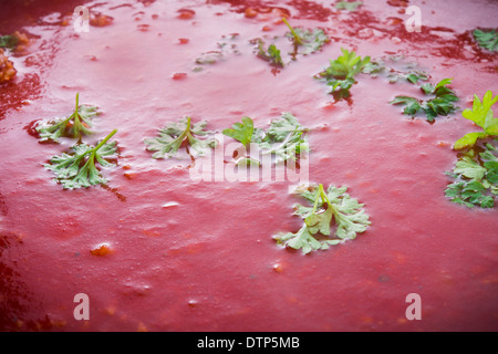 Chinesische Tomatensuppe Stockfoto