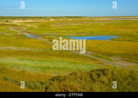 Naturschutzgebiet De Slufter, Nationalpark Duinen van Texel, Insel Texel, Niederlande / salt Marsh Stockfoto