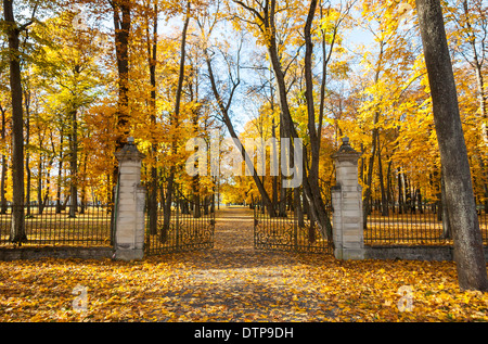 Alte eröffnet Metall Tor vor dem schönen bunten Park im Herbst Stockfoto