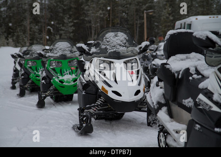 Schneemobil-Tour durch den Yellowstone National Stockfoto